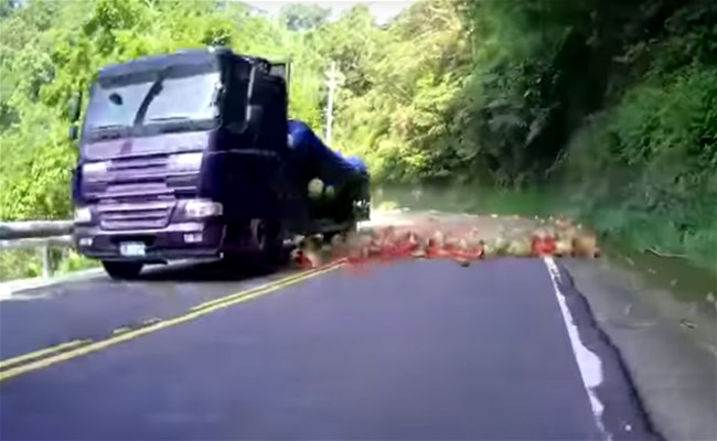 بالفيديو: مفاجأة غير متوقّعة على الطريق