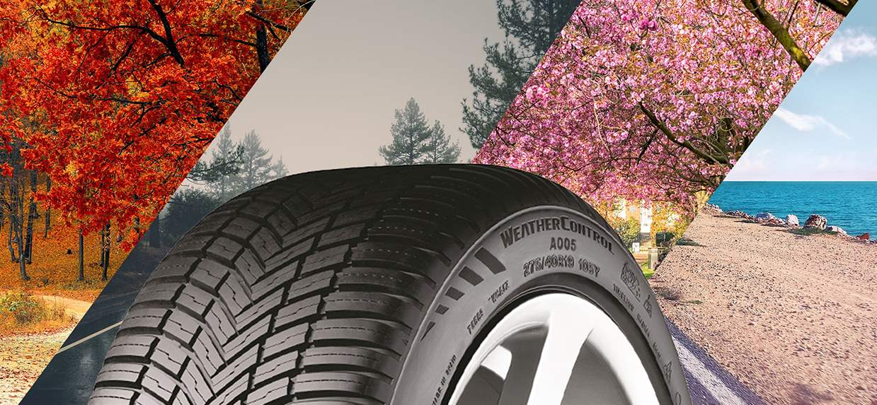 Bridgestone Weather Control A005: All-Season Tire