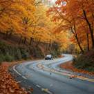Fall driving safety tips